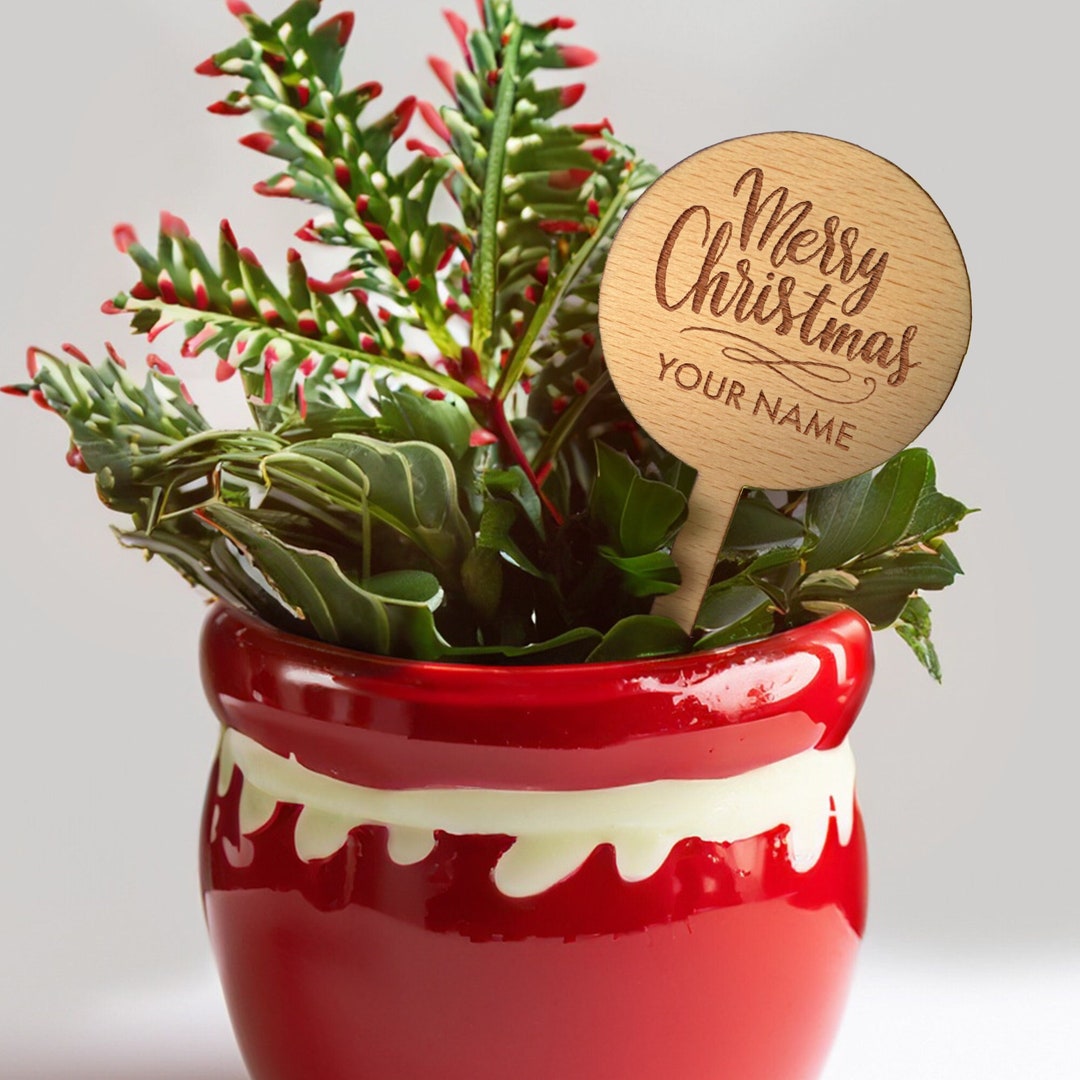 Custom Christmas Plant Gifts, Succulent Tags in Bulk, Personalized