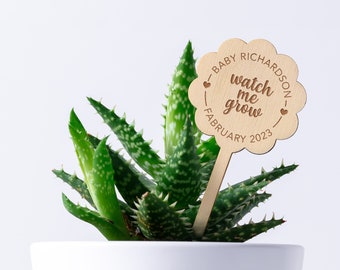 Watch Me Grow Baby Shower Wood Succulent Tags, Watch Me Grow Favor Tags,  Watch Me Grow Stick Sticks