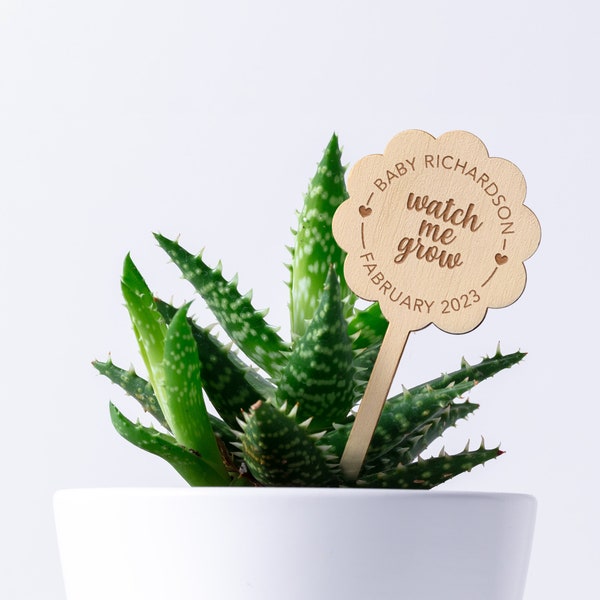 Watch Me Grow Baby Shower Wood Succulent Tags, Watch Me Grow Favor Tags,  Watch Me Grow Stick Sticks