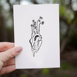 Ensemble de cartes de plantes pour orgue, art botanique, art anatomique, dessin au trait, ensemble de cartes, illustration de plante, illustration d'orgue, ensemble de cartes illustrées