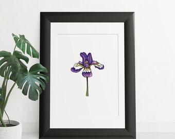 Iris Flower Art Print, Ink Pen Drawing, Organic Pen Drawing, Plant Illustration, Botanical art, Plant art, Tattoo Art, Line Art, Flower Art