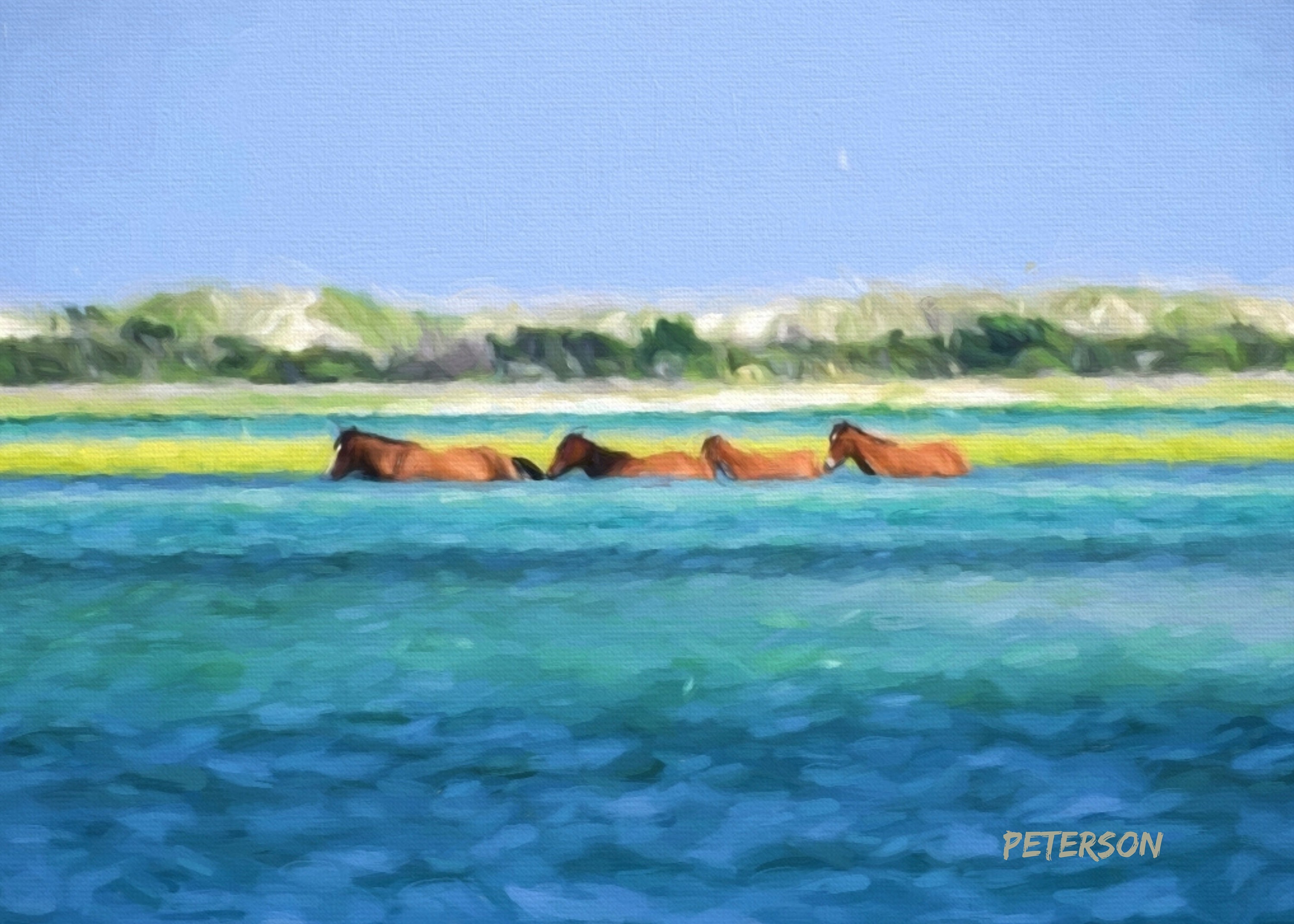 Shackleford Banks Wild Horses Swimming Giclee Printed on Canvas by Jan Peterson