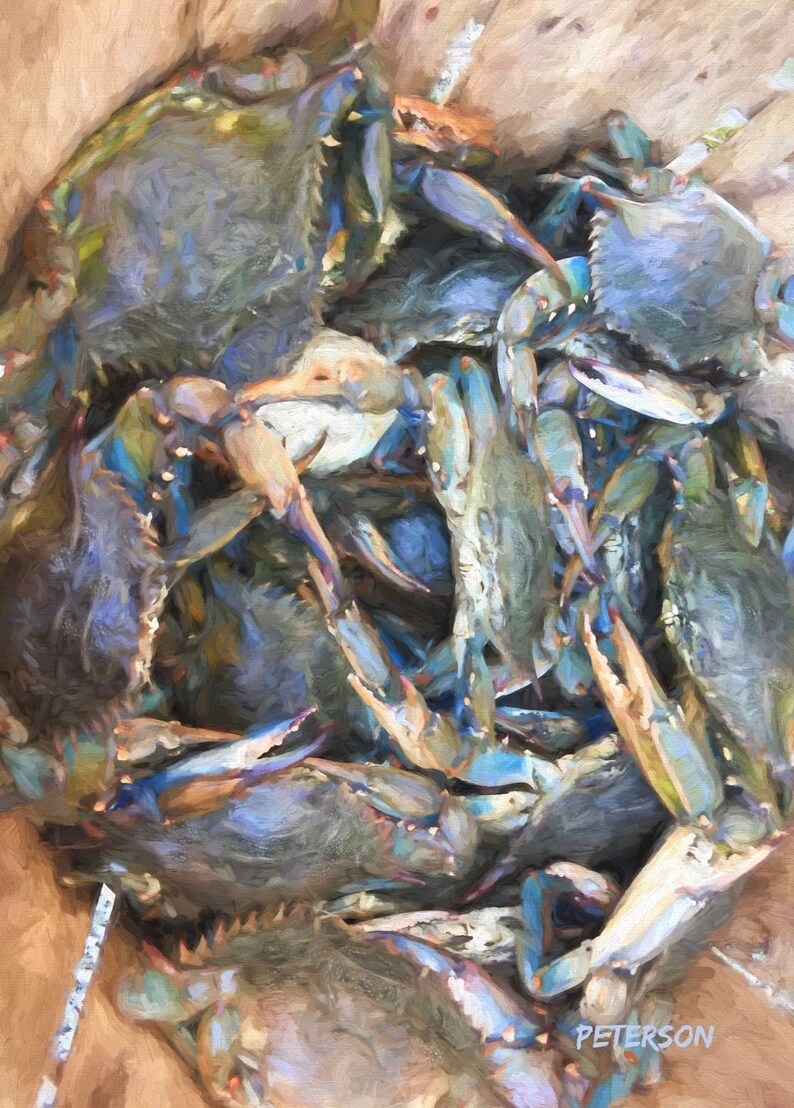 Blue Crabs Bushel Basket Glicee Printed on Canvas by Jan Peterson Etsy