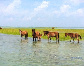 Shackleford Banks Horses & Foal Giclee Printed On Canvas Cape Lookout, North Carolina by Jan Peterson