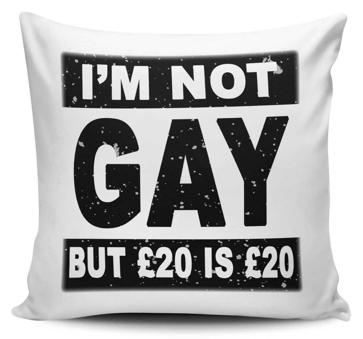 Brand New 40cm x 40cm I'm Not Gay But £20 Is £20 Funny Novelty Cushion Cover 