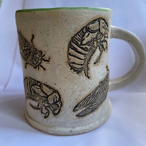 May include: A white ceramic mug with a green rim and black insect illustrations. The insects include a cicada, a beetle, and a dragonfly.