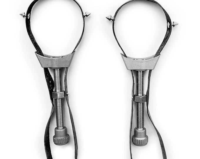 The Devil's Lotus pair BDSM Nipple and Breast Torture Devices evil