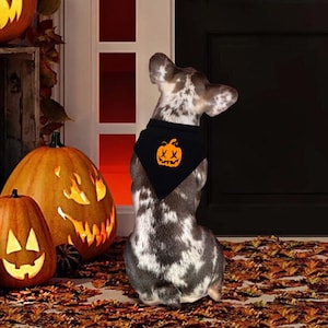 Halloween Dog Bandana Collar: Spooky Leather Pet Costume