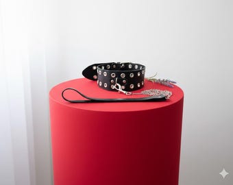 Leather collar and leash (choose color)