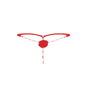 See thru bikini, sheer panties, naughty lingerie, thong bikini, string bikini