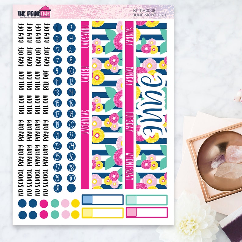 June monthly planner stickers printable june monthly kit etsy