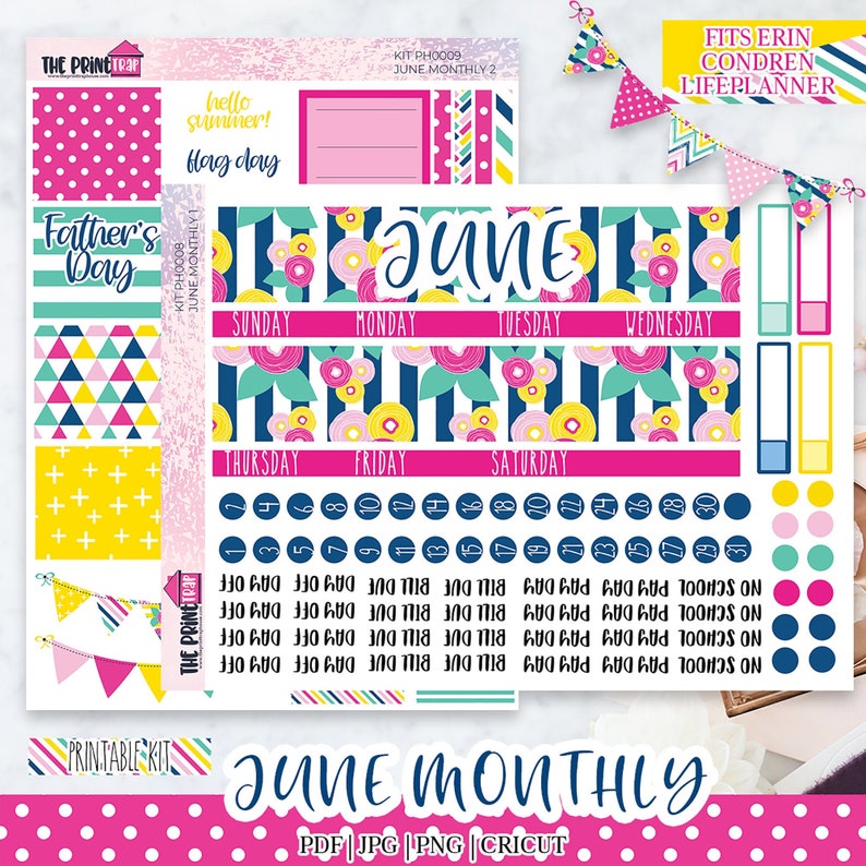 June monthly planner stickers printable june monthly kit etsy