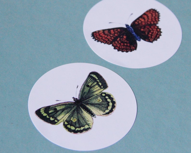 Butterfly Labels Templates
