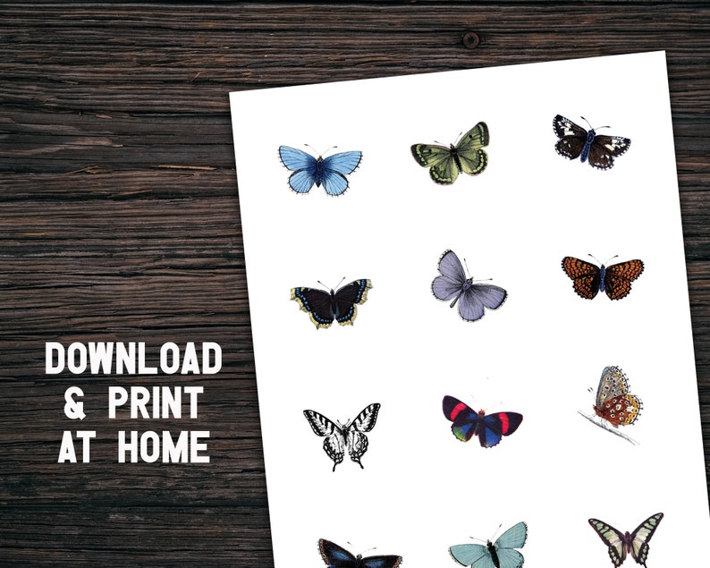 vintage butterfly printable sticker sheet template 2 inch etsy