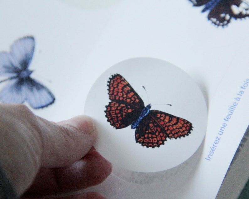 Butterfly Labels Templates