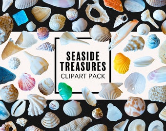 Seaside Treasures Clipart Pack with Real Seashell PNG Graphics | Beach Themed Photo Objects | Transparent PNG Files | Commercial Use