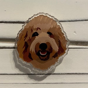 Golden Doodle Jibbitz Etsy Canada
