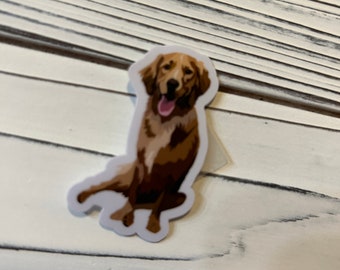 Golden Retriever Medium Sticker or Magnet Laptop/Water Bottle Sticker/Magnet-Medium Color