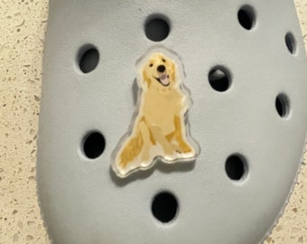 mantra club crocodile