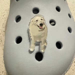 Great pyrenees shoes cheap