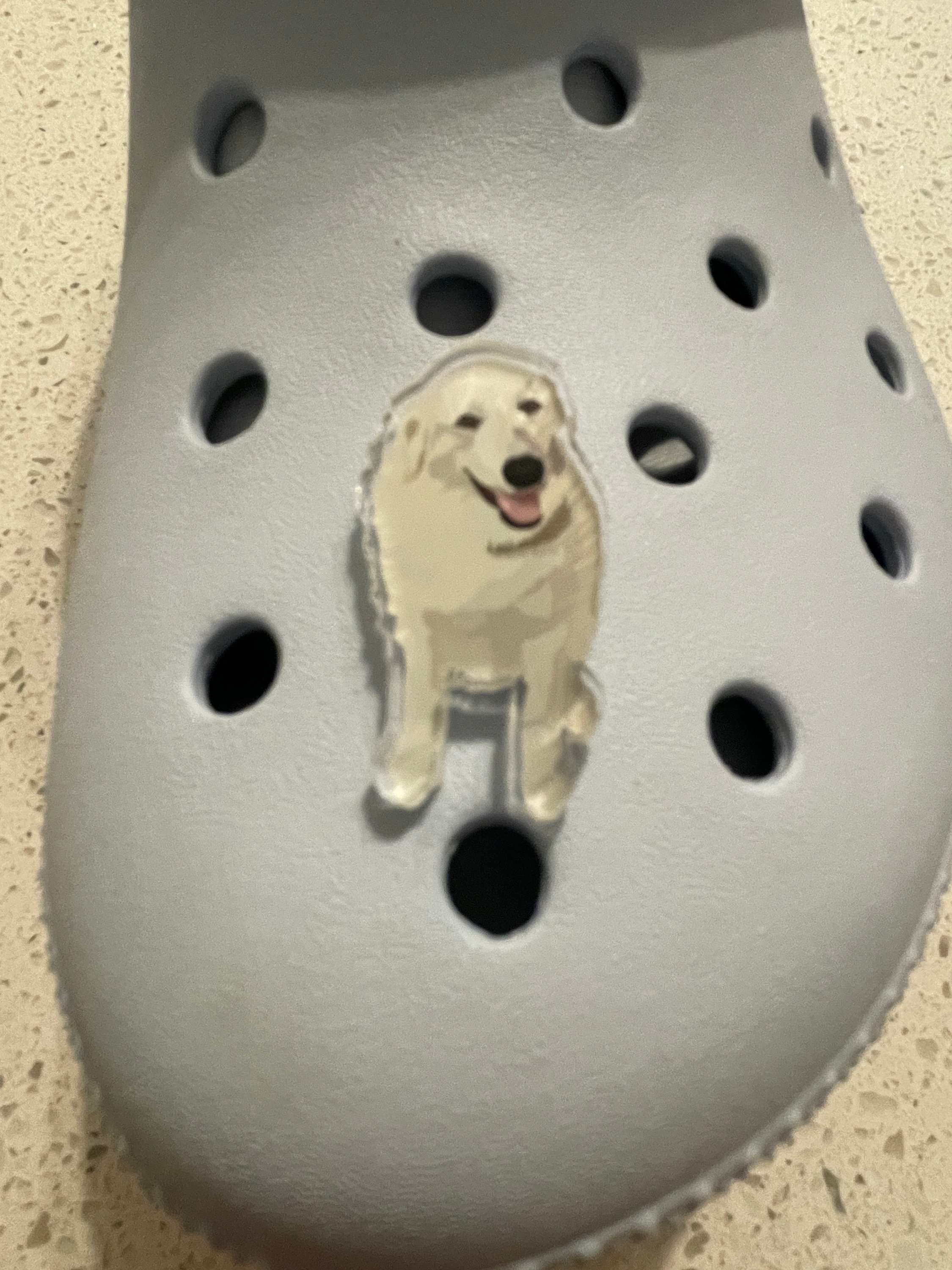 Great pyrenees shoes 2025