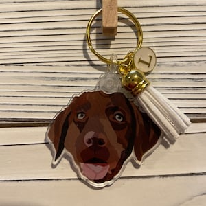 Chocolate Labrador Retriever / Lab Dog Keychain with Tassel ***Customizable***