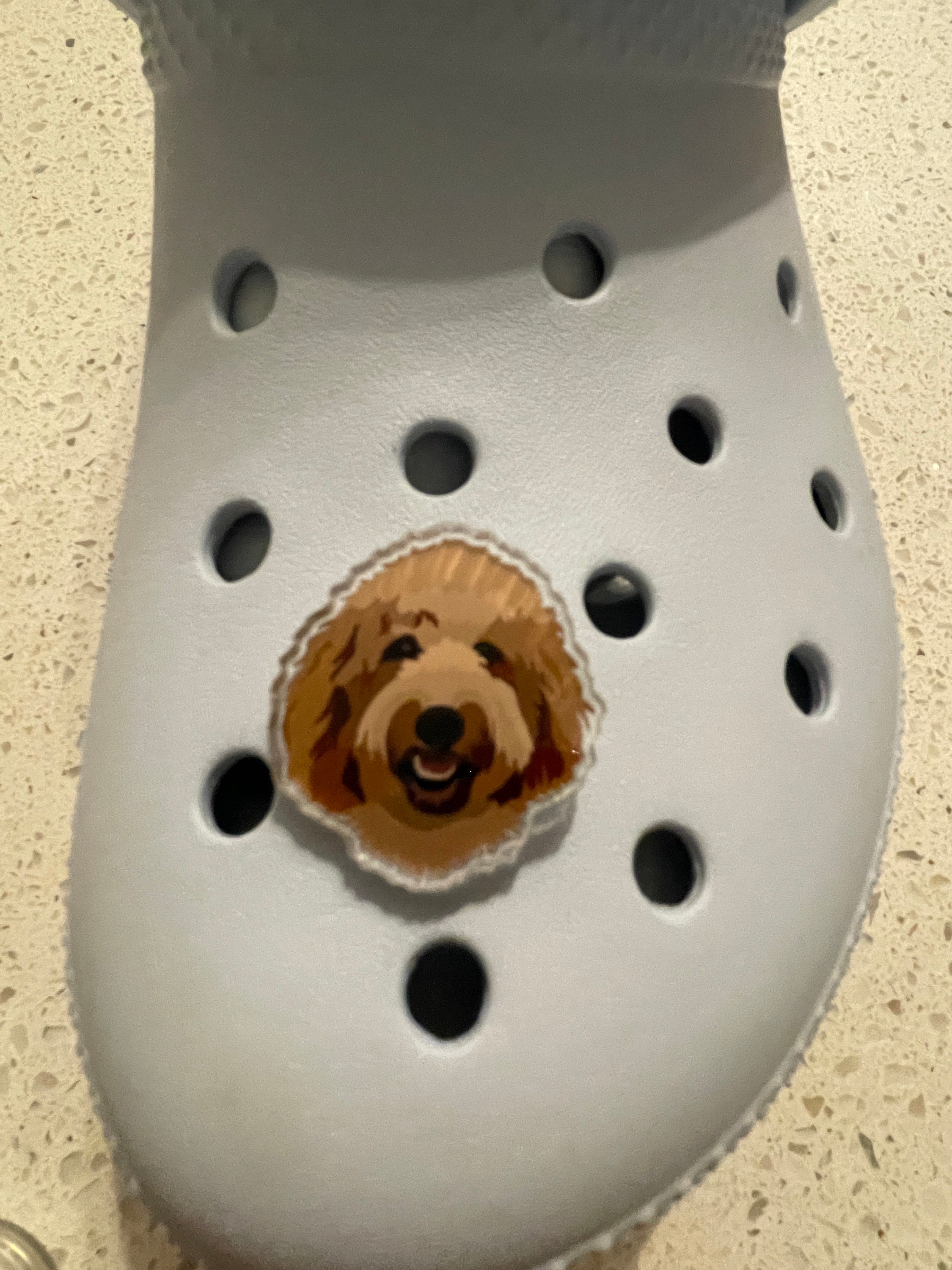 Dog Croc Shoe Decoration Charms Cute Animal Dog Pet Shoe - Temu