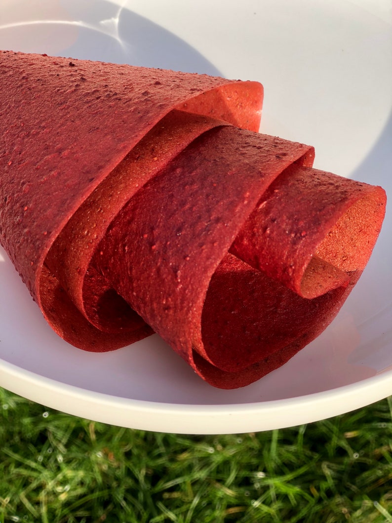 Strawberry Fruit Rollups Etsy