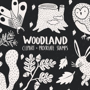 Woodland clipart, animal themed procreate stamps, forest magic clip art, fox illustration, collage kit