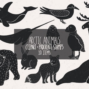 Arctic animals clipart, winter animal procreate stamps, Christmas procreate stamp, sea creatures clip art, reindeer collage kit