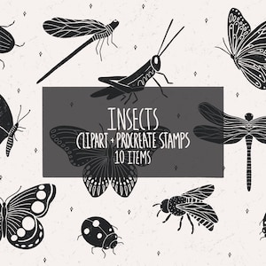fussy cut collage sheet Winter clothes clipart Christmas jumper procreate stamps winter procreate stamp
