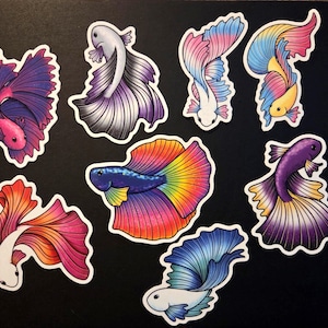 Könnte beinhalten: Eine Sammlung farbenfroher Betta-Fisch-Aufkleber. Jeder Aufkleber zeigt ein einzigartiges Design mit lebendigen Farbtönen von Rosa, Lila, Blau, Gelb und Orange. Die Fische haben fließende Flossen vor einem schwarzen Hintergrund.