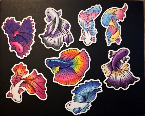Subtle Pride Flag Betta Fish Sticker 3" | 8 Color Options | Dishwasher-safe | Gay, Lesbian, Ace, Trans, Pan, Bi, Rainbow, Nonbinary