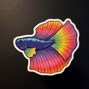 Op de afbeelding: Een kleurrijke sticker met een gestileerde vis met een levendige regenboogkleurige staart en vinnen. De vis heeft een donkerblauwe body met een witte omtrek, tegen een donkere achtergrond. De sticker is ontworpen in een cartoonachtige stijl.