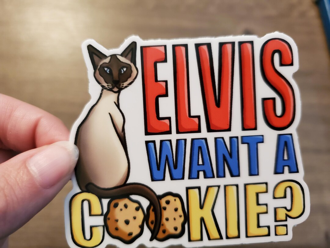 Elvis Cat Elvis the Cat From My Favorite Murder, With Quote: