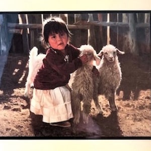 May include: A young girl in a maroon sweater and white skirt is holding two white lambs. The girl is smiling and looking at the camera. The lambs are standing on a dirt path.