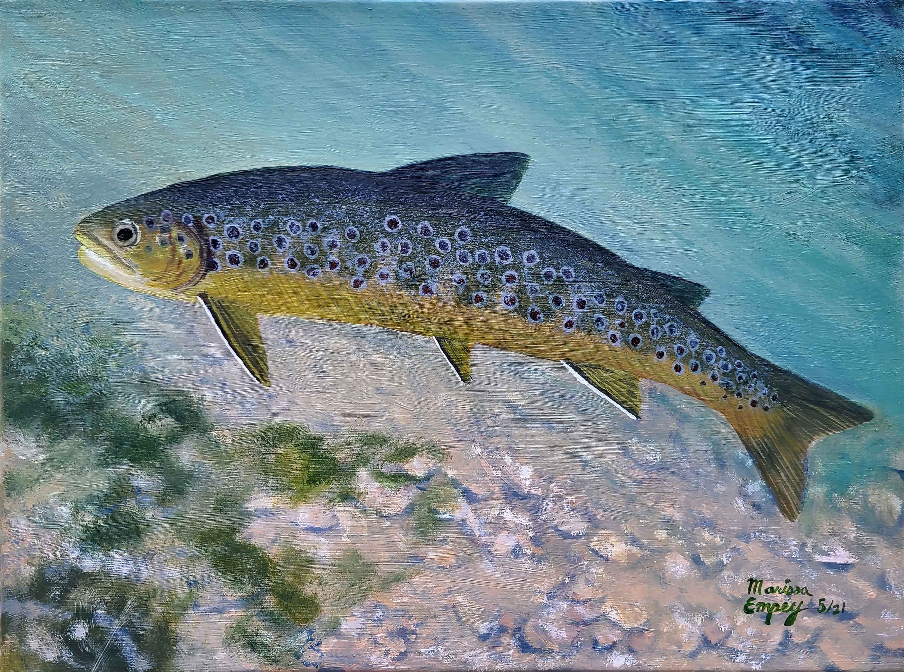 Brown Trout Art Print Wall Art Fishing Painting Etsy