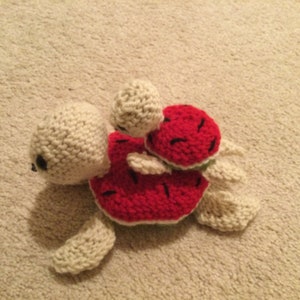 Amigurumi Watermelon Turtles