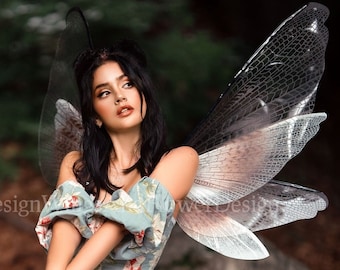 Transparent wings, moth wings, butterfly wings, elf wings, butterfly fairy wings, fantasy Halloween fantasy, magical fairy clear wings