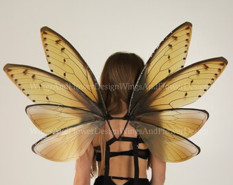 Butterfly Wings Spirit Halloween 2022