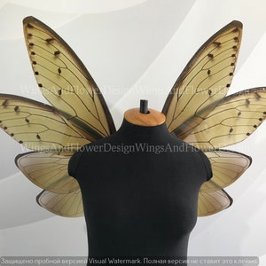 Cicada wings, cicada wings, elf wings, fairy wings, wings Photo Prop, wedding wings, butterfly fairy wings, fantasy halloween, magical fairy
