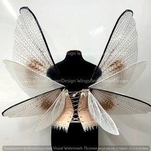 Transparent wings, moth wings, butterfly wings elf wings, butterfly fairy wings fantasy Halloween magical fairy clear wings