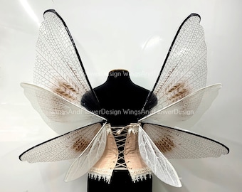 Transparent wings, moth wings, butterfly wings elf wings, butterfly fairy wings fantasy Halloween magical fairy clear wings