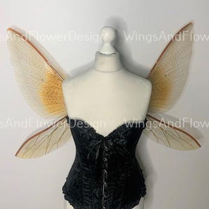 Yellow orange swamp butterfly wings butterfly fairy wings costume wings Fairy wings, pink Swallowtail, pink halloween costume cosplay wings