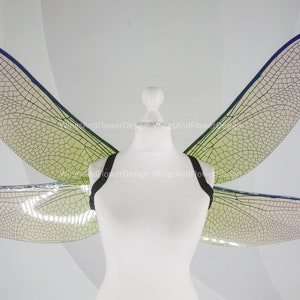 Green dragonfly wings butterfly brown wings elf wings,fairy wings, wings Photo Prop, green butterfly wings, fantasy halloween magical fairy,