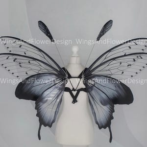 Large Black & Gray Butterfly Wings: Adult Fairy Photo Prop fairy dress adult