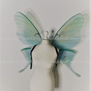 Luna Moth green blue eyespots moon butterfly wings, fairy wings, wedding wings, butterfly fairy wings, fantasy halloween magical Actias luna