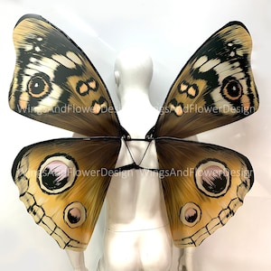 Brown Swallowtail butterfly wings, butterfly fairy wings Fairy wings, Brown Swallowtail, fantasy Halloween, Adult Fairy Wings, monarch wings