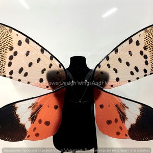 Spotted Lanternfly Wings: Red Brown Insect Wings, Photo Prop - Etsy