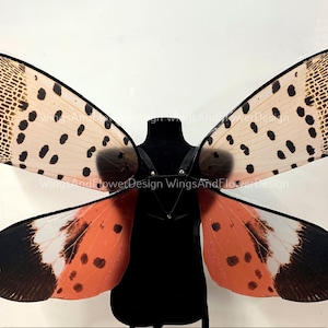 Op de afbeelding: Een paar decoratieve vleugels in insectenstijl met een gestippeld patroon. De bovenste vleugels zijn lichtbeige met zwarte stippen en een gestructureerd rasterontwerp aan de uiteinden. De onderste vleugels zijn oranje met witte accenten en zwarte punten. WingsAndFlowerDesign.
